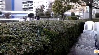 类似一路向西老婆叫的很疯狂